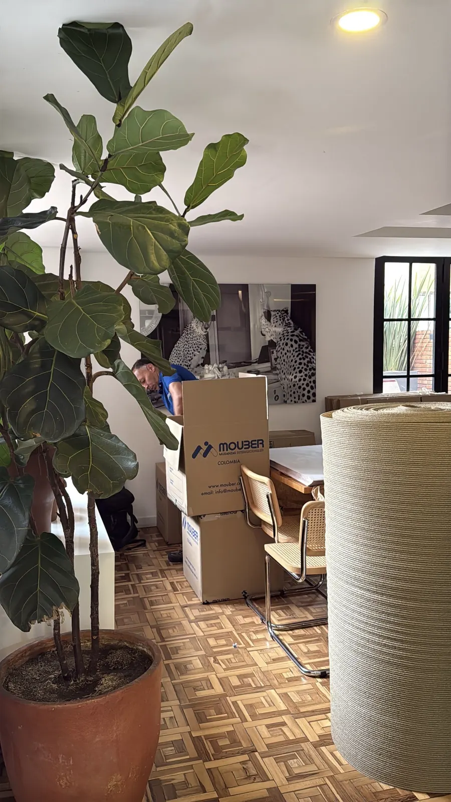 Mouber team delivering and placing furniture at the client's home