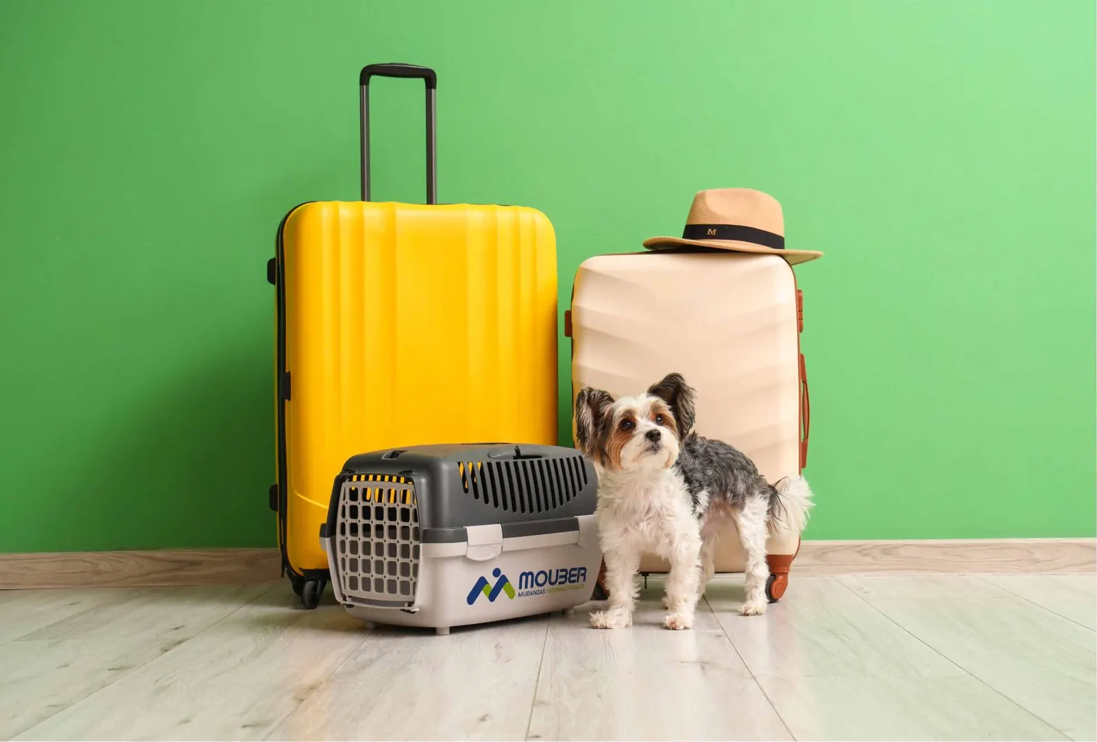 Dog next to its travel crate and suitcases before an international move